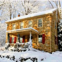 Forest house in winter