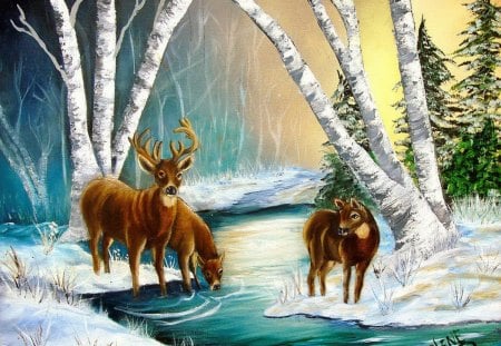 Winter morning walk - pretty, creek, snow, stream, forest, walk, deers, frost, nice, winter, beautiful, roe, morning, lovely, river, frozen, nature, painting, cold, animals