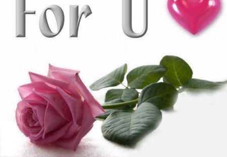 For you Morenita..!! - for you, white background, green letter, pink rose, pink heart