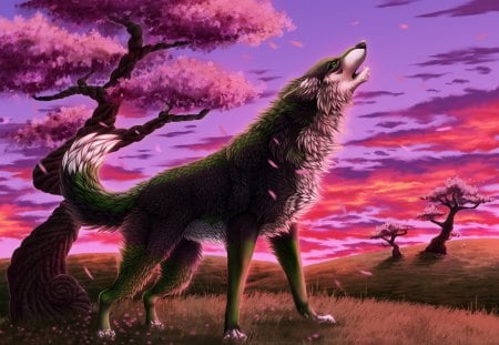 ✰Sound of Howling Wolves✰ - trees, cherry, spring, holidays, petals, wolves, forests, howls, grasses, Sound of Howling Wolves, nature, painting, dusk, seasons, animals