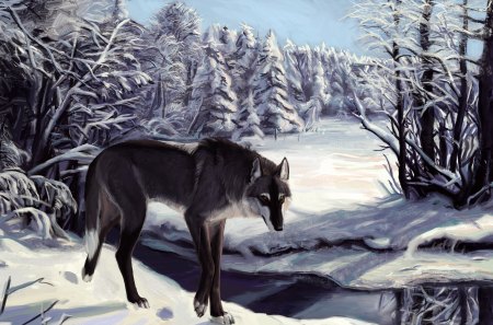 ✰Loneliness of Winter✰ - calm, lonely, streams, wolf, splendor, alone, snow, frosty, holidays, forests, magnificent, splendid, loneliness, seasons, trees, winter, beautiful, lovely, wolves, frozen, nature, painting, white trees, animals