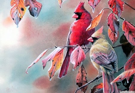 ✰Cardinals on frosty leaves✰ - pretty, birds, Russell Cobane, splendor, frosty, holidays, leaves, forests, splendid, red, seasons, branches, trees, winter, beautiful, Cardinals on frosty leaves, holy, lovely, cardinals, nature, painting, cute, animals