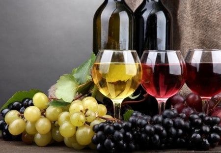 ~ Wine from Vineyards ~ - glasses, dinner, delicious, holidays, any occasion, bottles, swallow, new year, drink, white wine, red wine, excellent, wine from vineyards, mouth, nice, vineyards, celebrations, scent, grapes, entertainment, sunshine