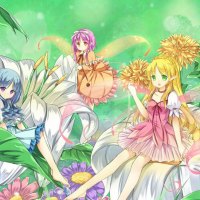 Flower Fairies