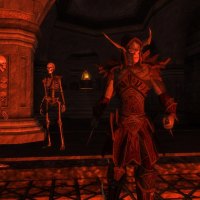 Gains skills in Darkfall Online