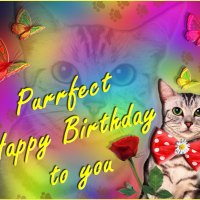 â™¥ ~áƒ¦.Purrfect Happy Birthday.áƒ¦~  â™¥