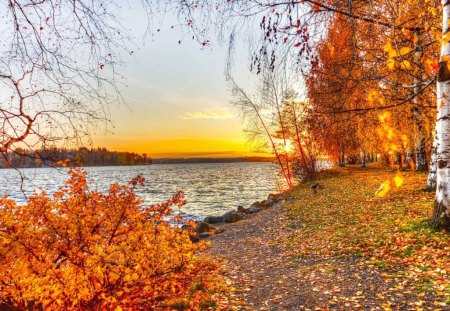 Autumn - oceans, leaves, trees, nature, autumn