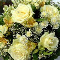 Bouquet of yellow  roses