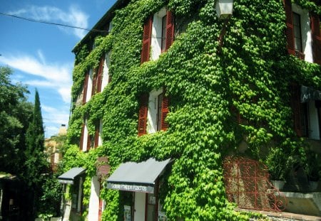 House in France - sky, blue, clouds, architecture, leaves, green, house