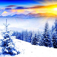 Winter rays