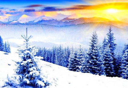 Winter rays - sunlight, trees, winter, snow, slope, sunshine, mountain, colorful, nature, rays, cold, frost, sun, sky