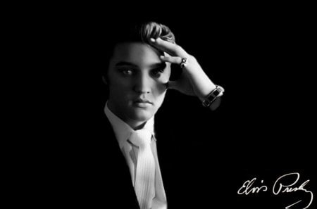 Elvis 1956 - Elvis 1956, elvis, the king, elvis presley