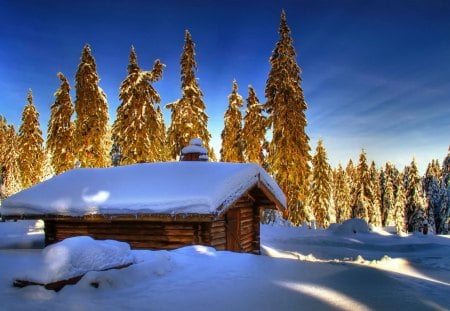 Winter cottage - wallpaper, beautiful, frozen, cottage, frost, cabin, nature, cold, winter, popular, pretty, rays, covered, nice, lovely, landscapes, house, trees, snow