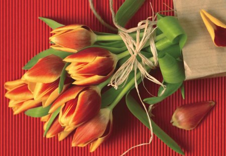 *** Bunch of tulips *** - nature, soft, tulips, bunch, flowers, still life, flower