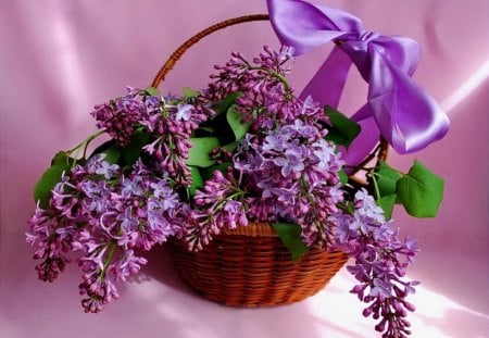 Spring basket - pretty, blue, beautiful, fragrance, lilac, lovely, freshness, still life, flowers, basket, fresh, purple, scent, ribbon, nice