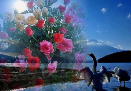 Dazzling roses of bouquet in the night - mountains, bouquet, blue sky, night, swan, roses, lovely, sea, color, dazzling