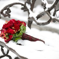 Bouquet of Roses