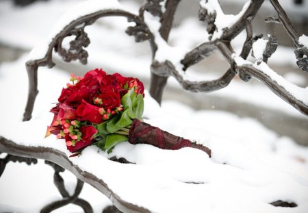 Bouquet of Roses - roses, photography, winter, snowflakes, bouquet, bench, lovely, beautiful, snow, red rose