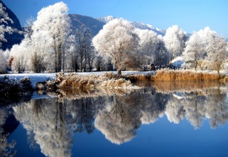 winter lake - lake, white, winter, amazing