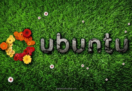 Ubuntu - grass and flower