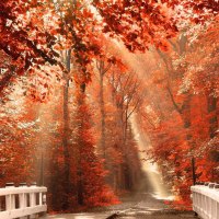 amazing autumn scenery