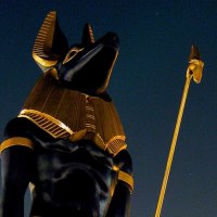 Anubis  the jackel