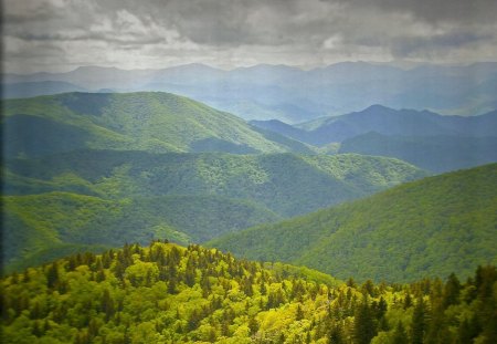 Great Smokey Mountains National Park, North Carolina and Tennessee - clouds, nation park, mountains, tree, sky