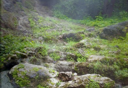 Hot Spring National Park, Arkansas - rocks, national park, green, grass