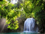 Waterfalls in the forest