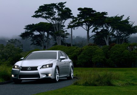 beautiful lexus gs 350 - tree, lexus, cars, road