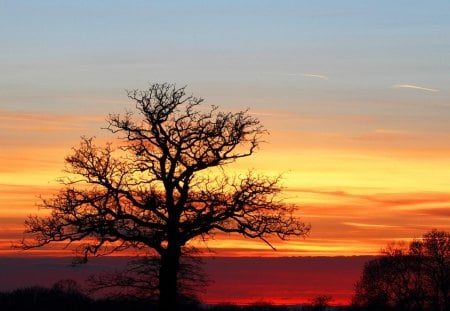 Sunset - sky, landscape, trees, clouds