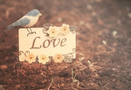 Love words - bird, flowers, writings, love