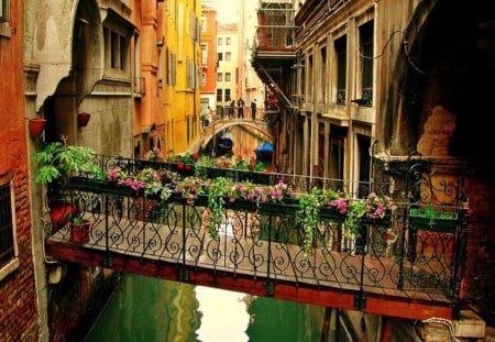 Beautiful City - colorful flowers, gateway, natural beauty, houses, lakes, bridge swinging