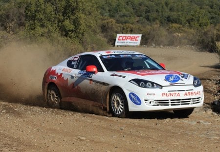 Rally Car - endurance, rally, thrill, offroad