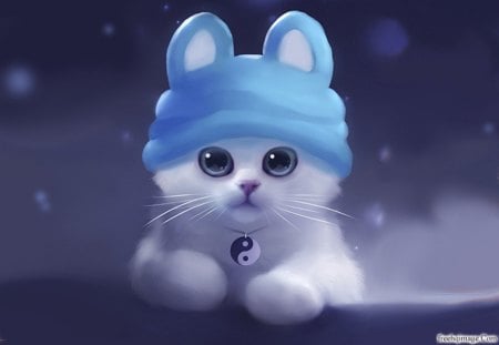 cutie - cute, kitten, blue, sweet