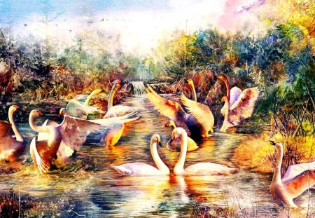 SWAN PARADISE - river, swans, pond, falls, paradise, CG, art