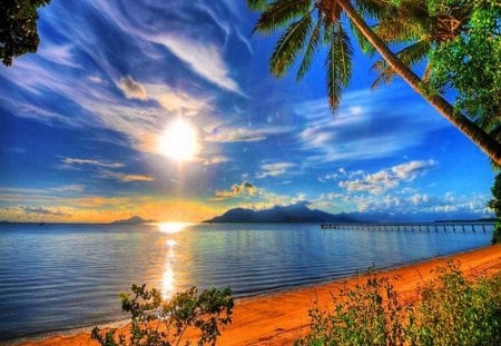 Sea View - sun rays, splendor, sunrise, reflection, Palm trees, sky, sun, ocean view, clouds, sunlight, beautiful, sea, beauty, lovely, ocean, pier, nature, sunset, rays, peaceful