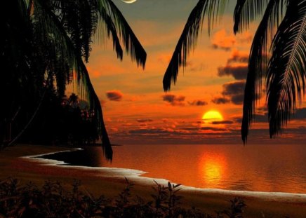 Sea View - beauty, sky, peaceful, sun, sunset, sun rays, reflection, clouds, moon, palm trees, ocean, sunlight, colorful flowers, lovely, beautiful, splendor, ocean view, sunrise, sea