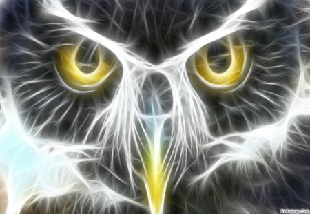 owl - painting, owl, pretty, 3d