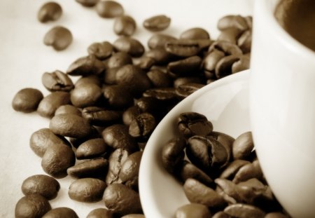 Fresh Ground Coffee - cup of java, java, coffee, fresh ground coffee