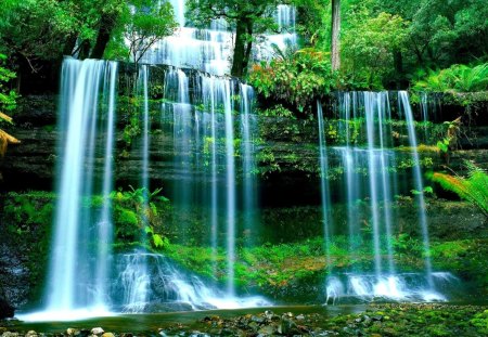 Waterfall in Tasmania - pretty, summer, forest, prk, nice, Tasmania, falling, greenery, national park, trees, water, beautiful, lovely, fall, nature, park, rocks