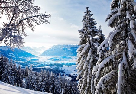 White landscape - sky, trees, view, cold, clouds, frozen, snowy, ice, rays, mountain, winter, peaks, slopes, nature, forest, frost, snow