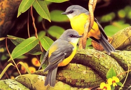 *** A pair of beautiful birds *** - animals, colorful, animal, bird, birds