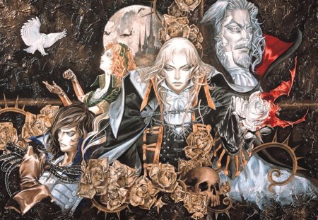 castlevania - manga, anime, pigeon, skull, video game