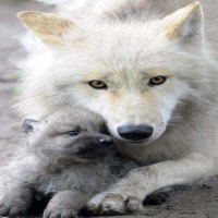 Mother and Baby Bonding