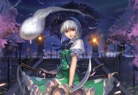 Konpaku Youmu - gown, sword, black, cute, konpaku youmu, katana, white hair, anime girl, girl, ribbon, scenery, view, light, blade, scenic, weapon, touhou, spirit, short hair, dark, anime, night, dress, scene, female