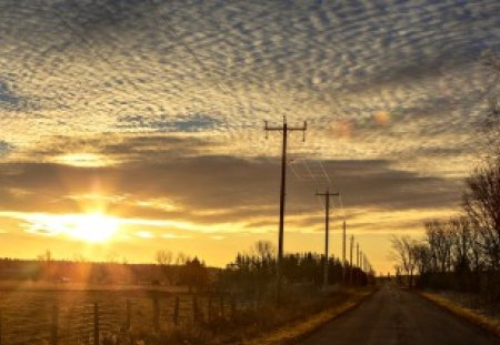 Golden Sunset - splendor, landscape, sunrise, sunrays, golden sunset, field, golden, sky, sun, clouds, sunlight, trees, beautiful, road, beauty, lovely, tree, nature, sunset, rays, peaceful