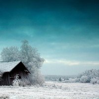 Old Cabin