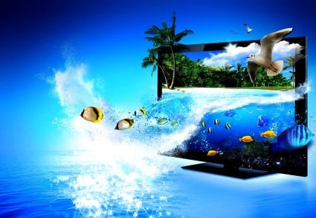 3D TV - overflow, tv, fish, art, marine