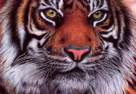 Tiger - ballpoint pen drawing, tiger, deviant art, vianaarts